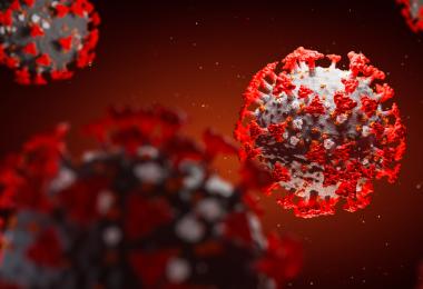 Prepoved izvajanja rednih in periodičnih dimnikarskih storitev v času epidemije koronavirus Prepoved izvajanja rednih in periodičnih dimnikarskih storitev v času epidemije koronavirus