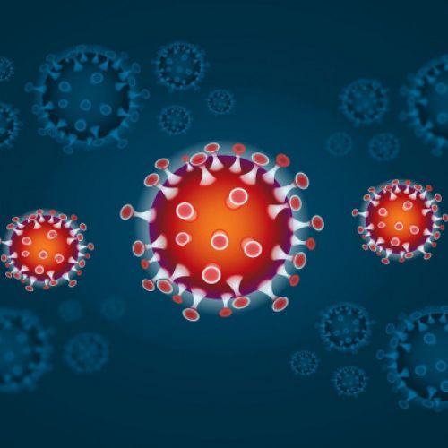 Dimnikarske soritve v času epidemije koronavirus Dimnikarske soritve v času epidemije koronavirus